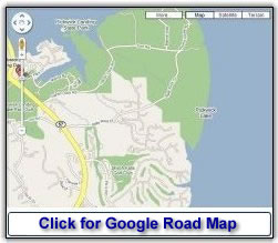 Google Road Map